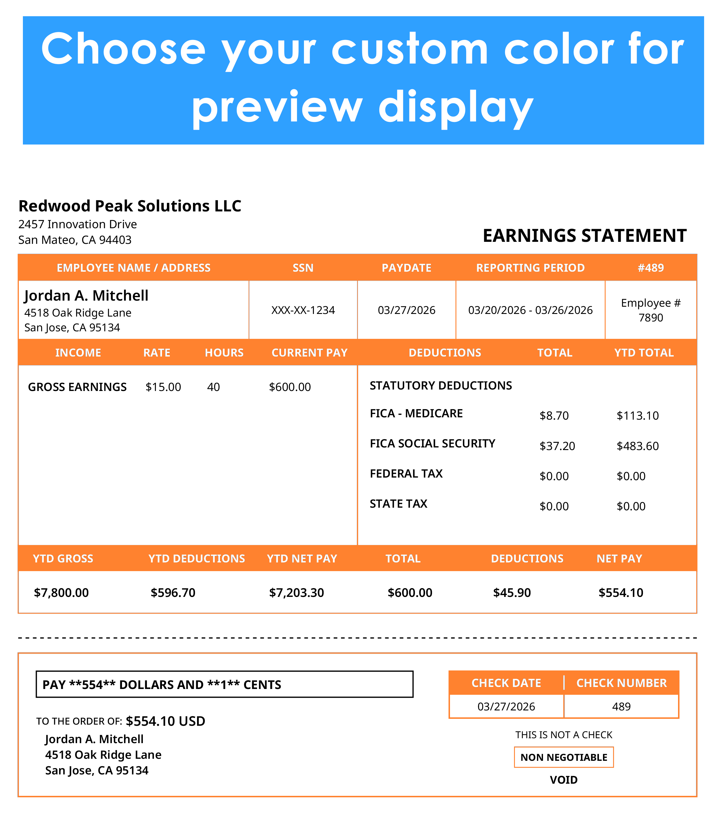 Custom color pay stub template for sample company payroll statement